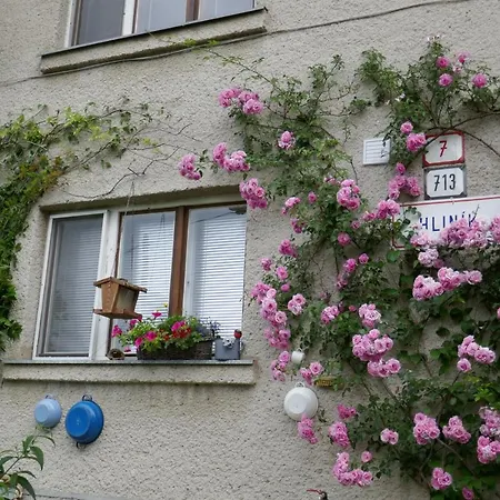 Apartment at Sedliacky Dvor - Brezno-2